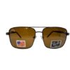Ray-Ban Brown Lens Sunglasses